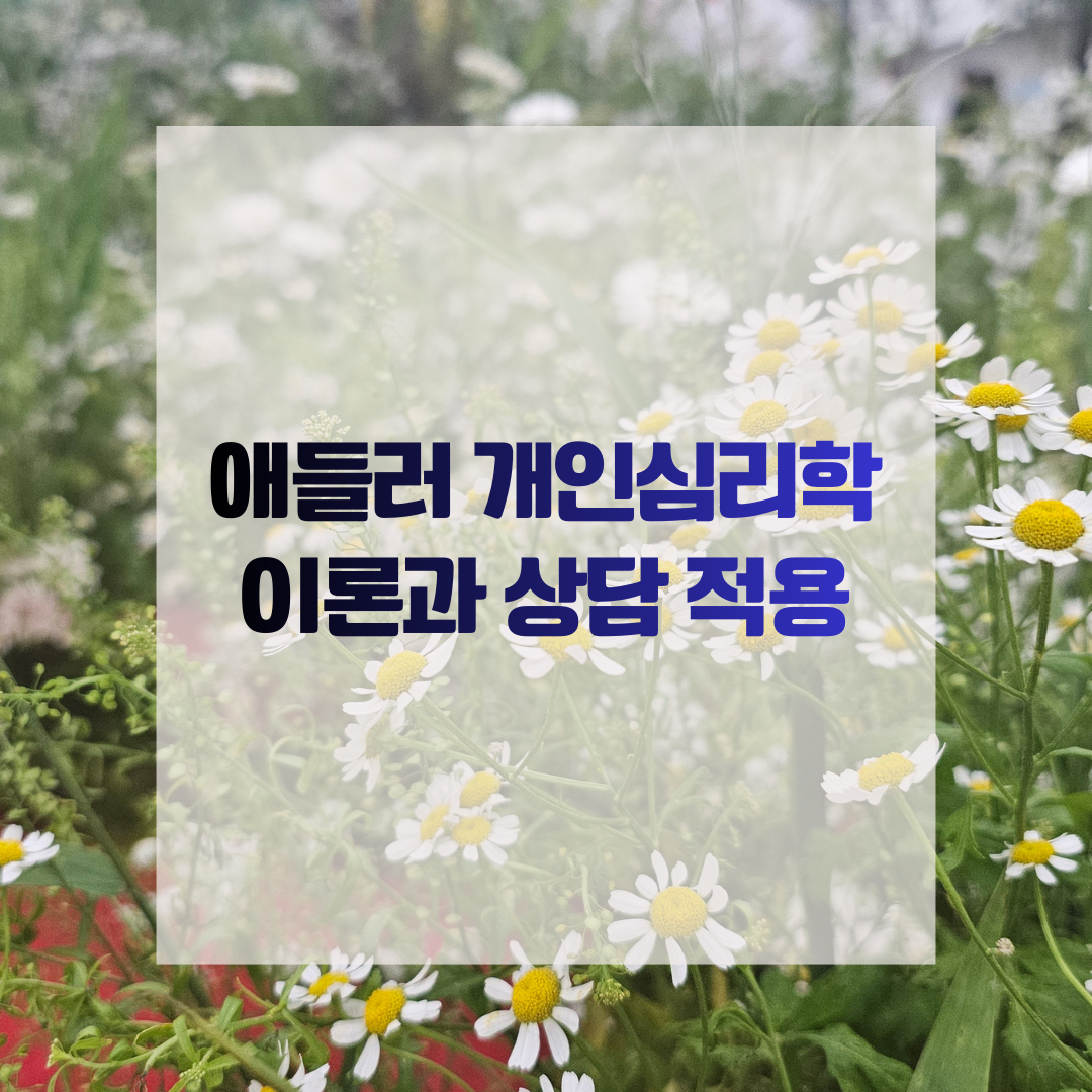 애들러 개인심리학 이론과 상담 적용