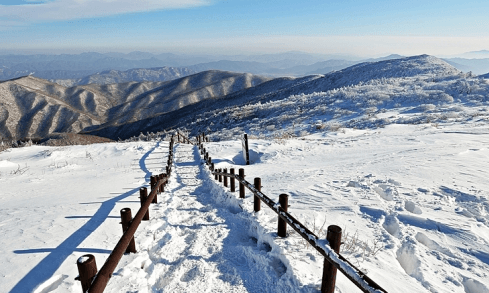 겨울 기차여행 추천지