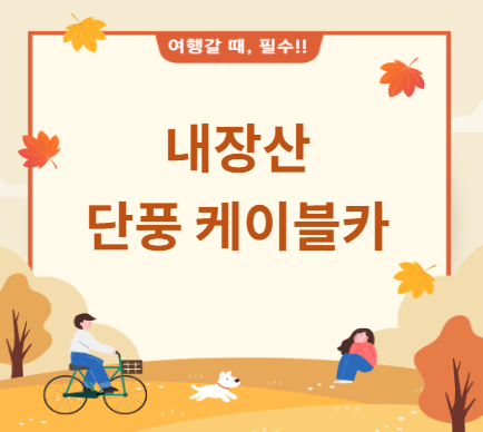 내장산 단풍 케이블카