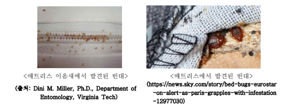 빈대출몰공간