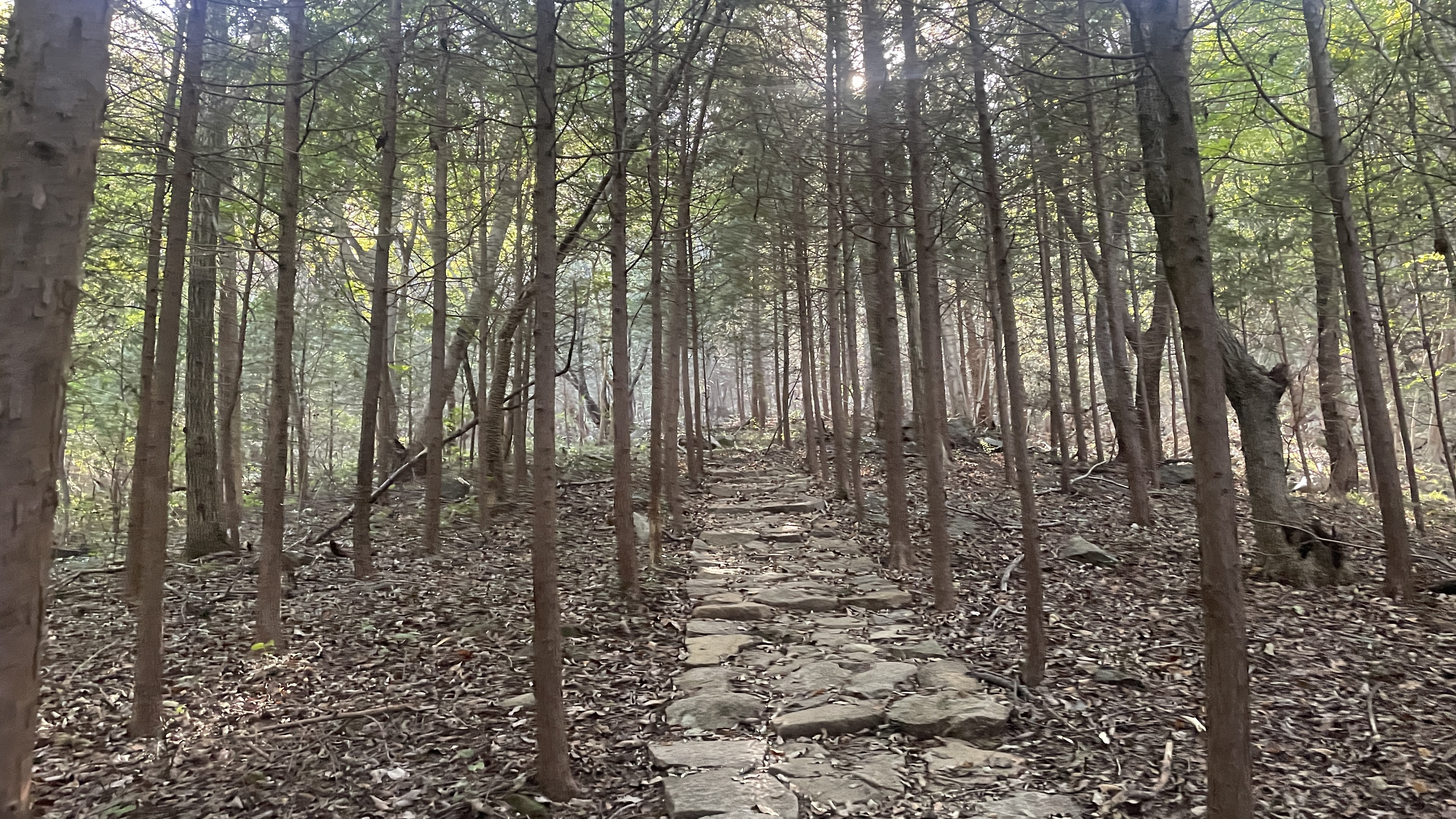 등산로 초입