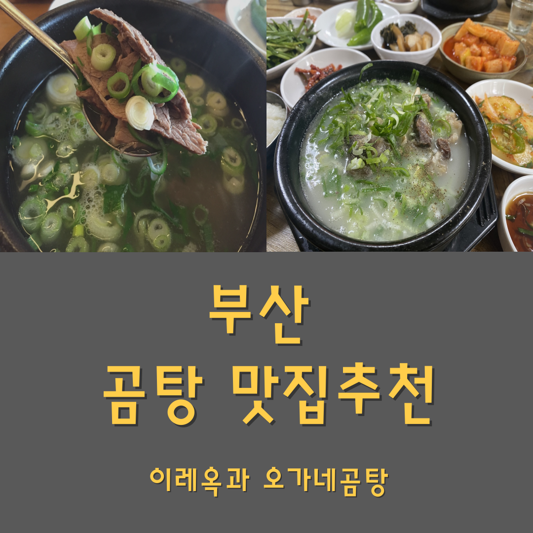 부산 곰탕 맛집 추천