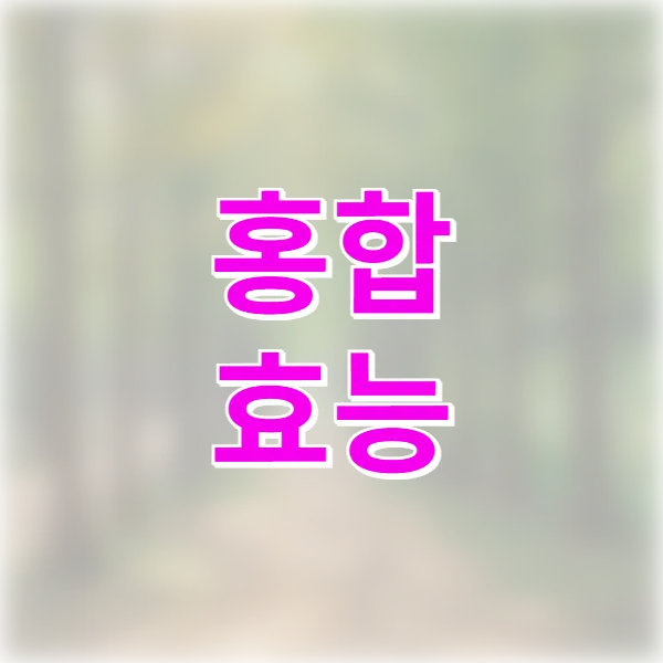 홍합 효능