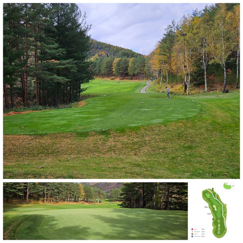 골프장 경험담 모나용평cc 해발 780m 청정 지역의 골프장 용평 리조트