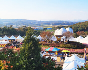 이천 쌀 문화축제_1