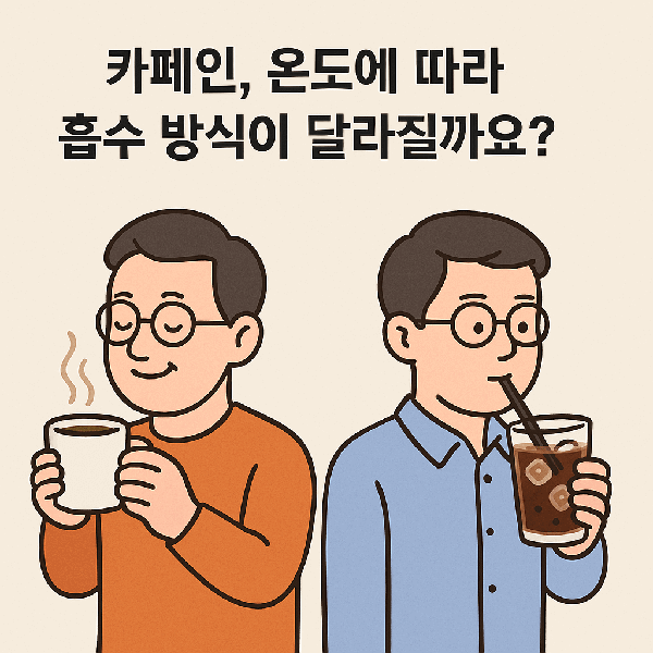 카페인, 온도에 따라 흡수 방식이 달라질까요?