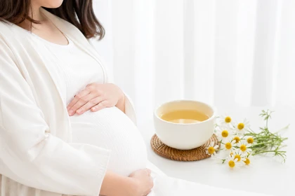 임산부 카모마일 섭취 가능 여부 확인 기준14