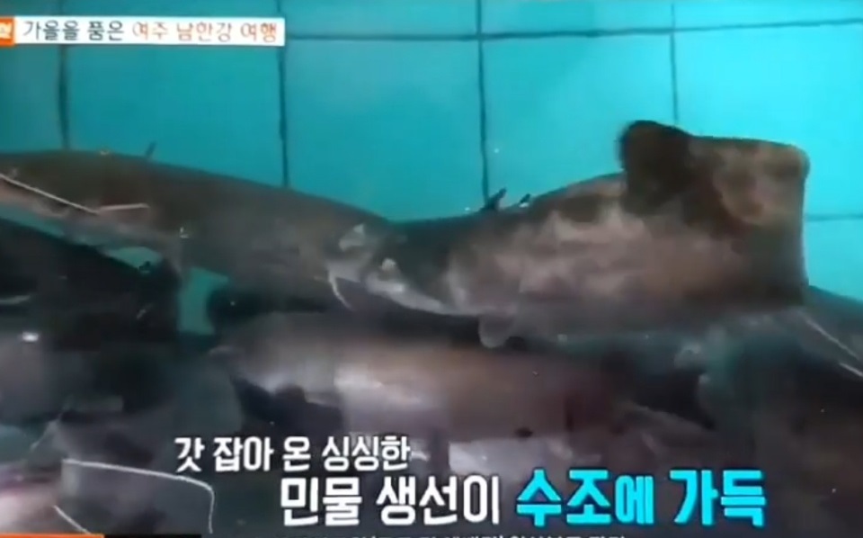 여주-강천-매운탕-민물고기-굴암매운탕