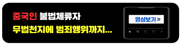 중국인불법체류자문제