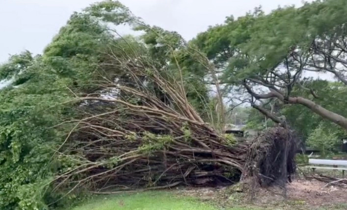 괌 향후 경로 및 현재 결항 정보
