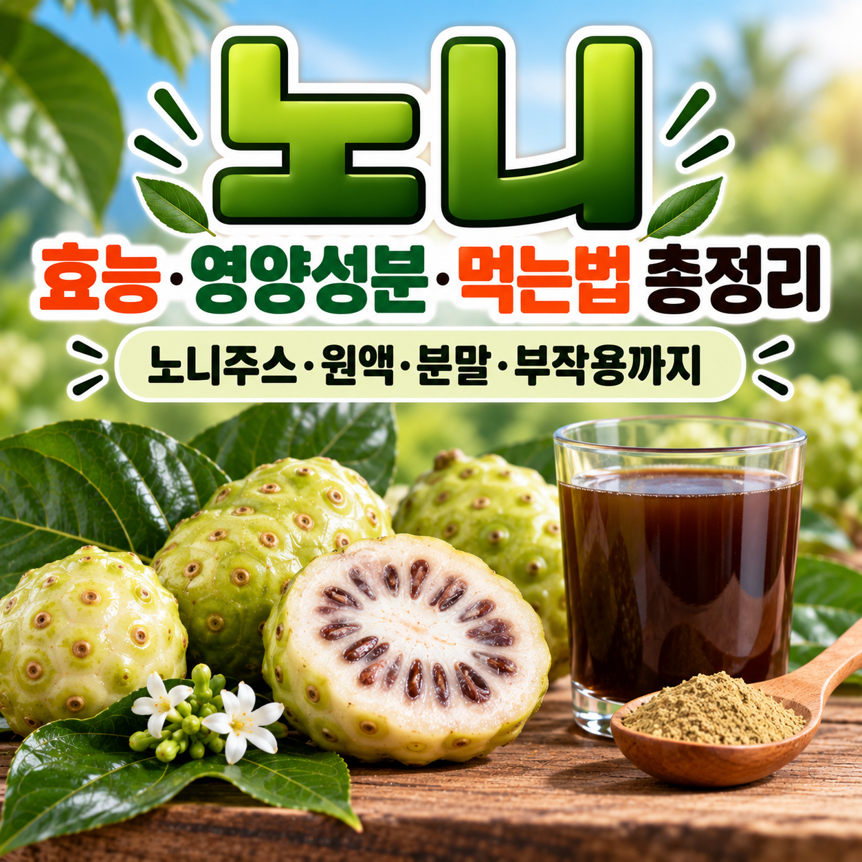노니 효능