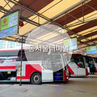 동서울터미널 시간표 예매 버스시간표_22