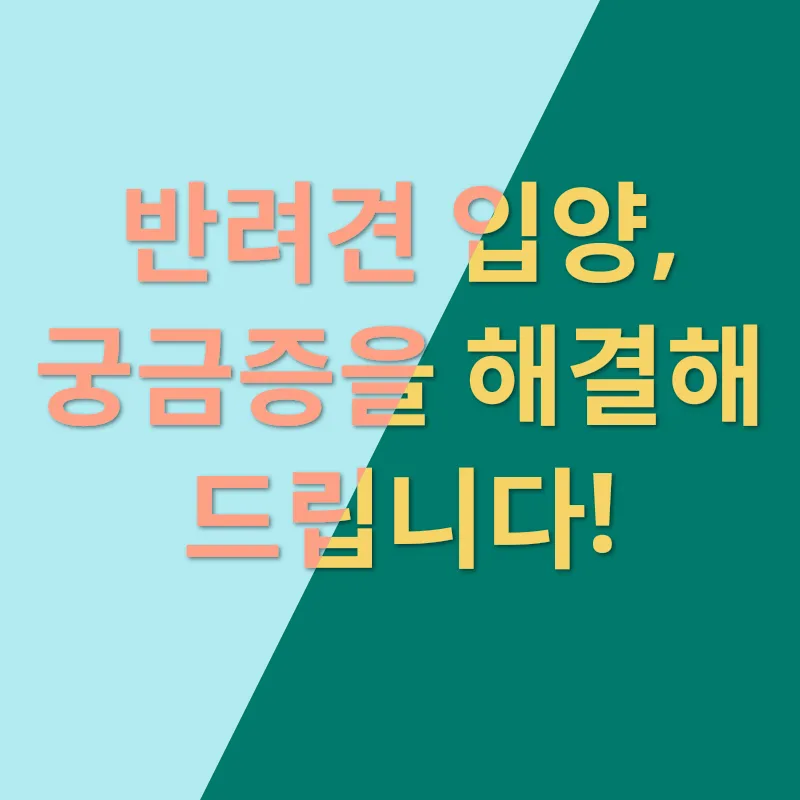 반려견 입양_4