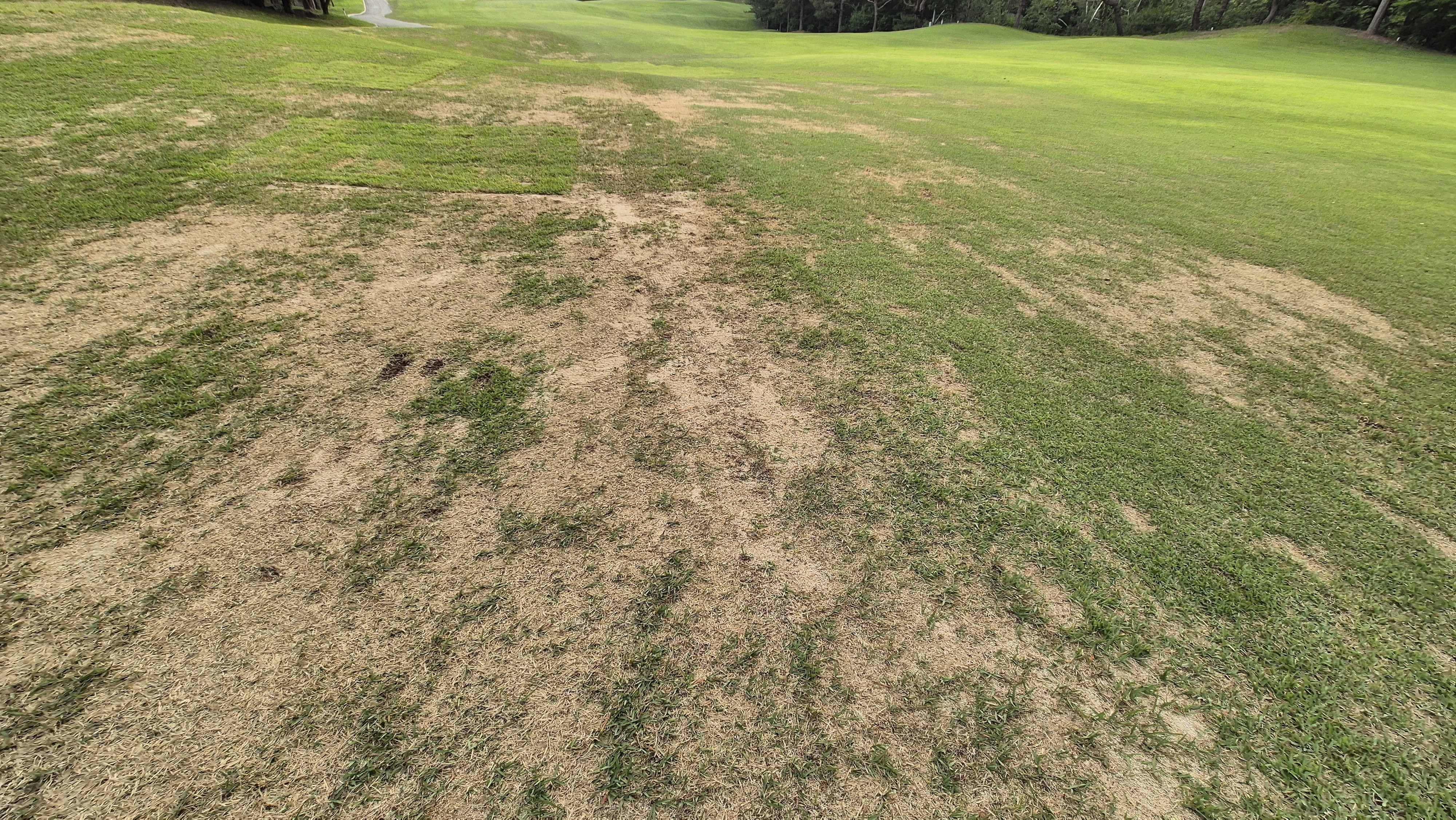 이포cc 라운드 후기