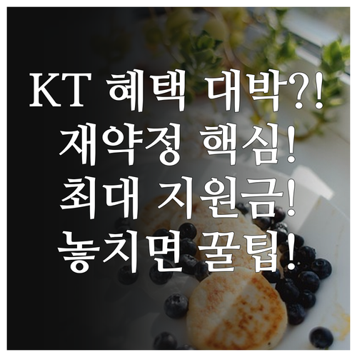 KT 인터넷 재약정 상담 예약으로 숨..