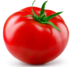 토마토