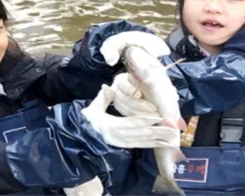 양평딸기 송어축제_6