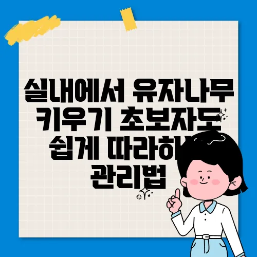 실내에서 유자나무 키우기 초보자도 쉽게 따라하는 관리법