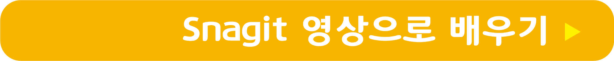 Snagit 영상으로 배우기