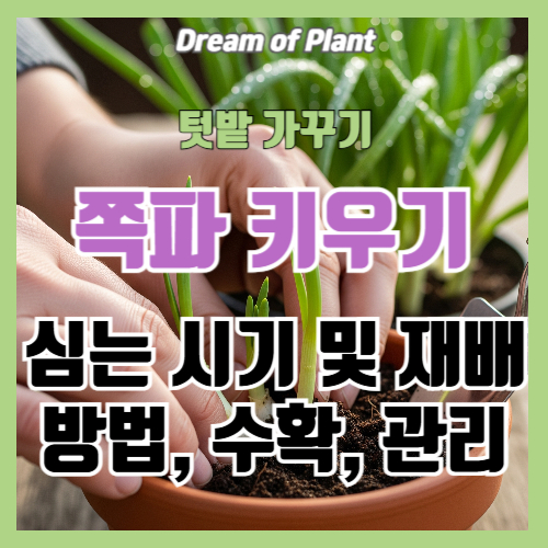 쪽파 키우기 썸네일 이미지