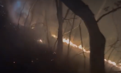 강원도 양양 산불