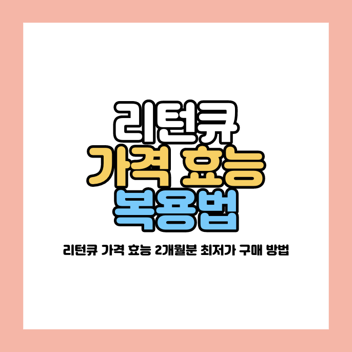리턴큐 가격