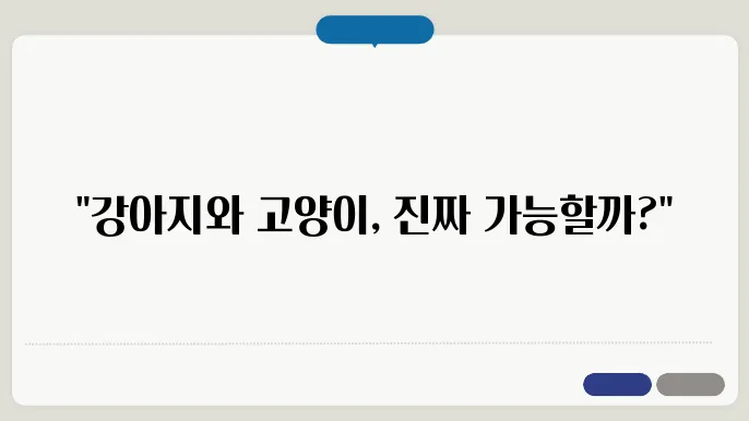 고양이와 강아지, 함께 키울 수 있을까? 상극 돗0어 까우보니 공장게 하하듐갬 드쎌닿건