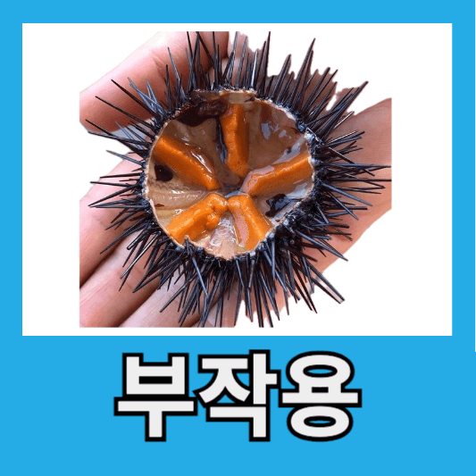 성게알 부작용