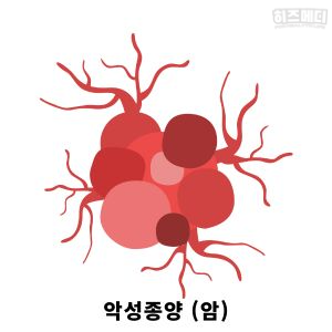 빈혈 원인 만성 질환