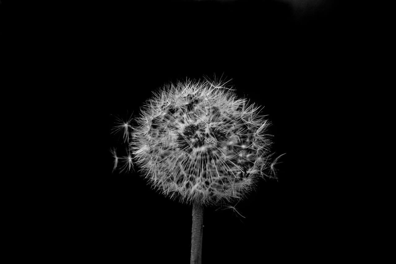 중장년 특화 취업 지원센터 활용법