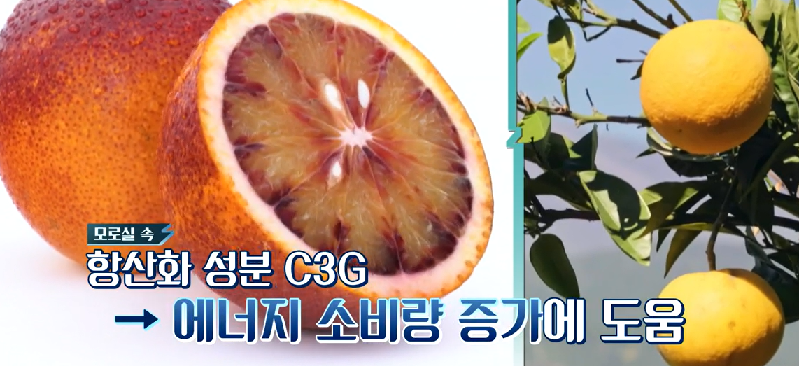 모로실