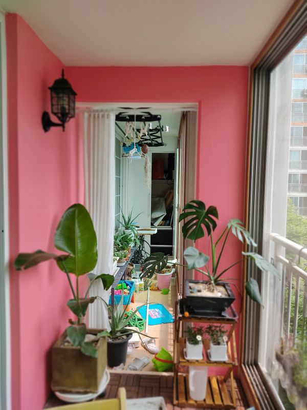 주변으로 식물을 배치해줌