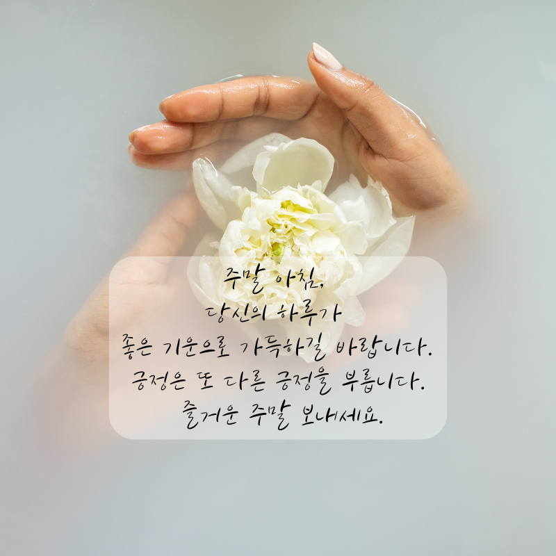주말 아침 인사말 이미지 토요일 일요일 인사글