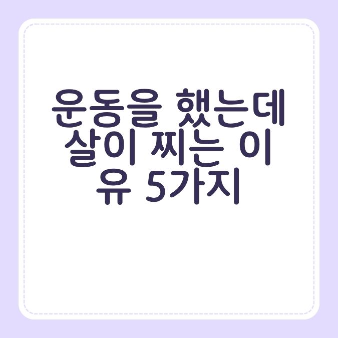 운동을 했는데 살이 찌는 이유 5가지
