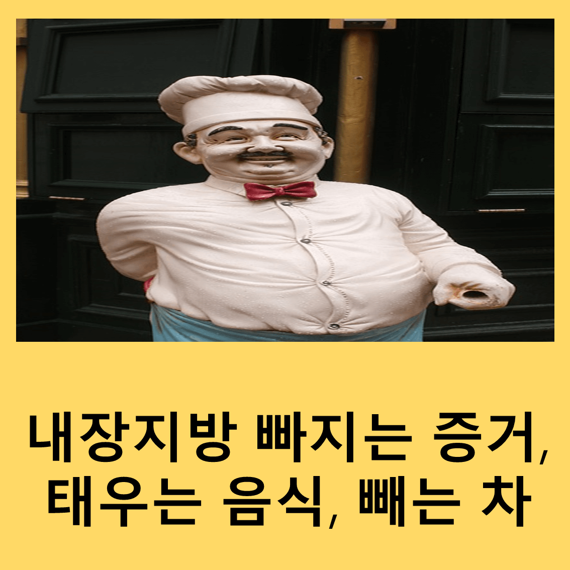 내장지방