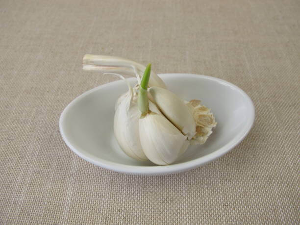 마늘쫑 효능, 나오는 시기와 부작용에 대해 알아봤습니다. 마늘쫑은 그 풍부한 영양소와 미생물을 통해 건강에 많은 이점을 제공하는 것으로 알려져 있으며, 신뢰할 수 있는 연구들이 그 효능을 뒷받침하고 있습니다. 어떤 효능이 있는지 참고해주세요!