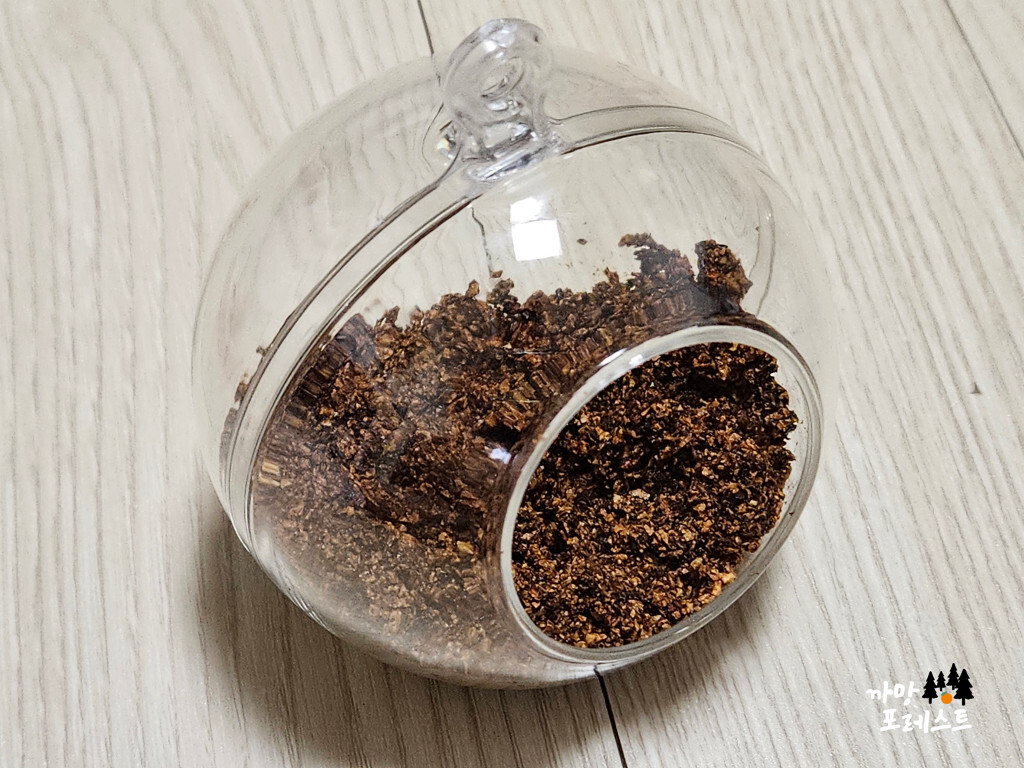 테라리움 만드는 과정