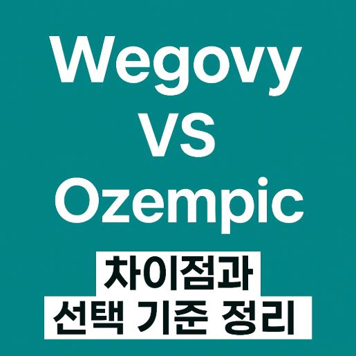 위고비 오젬픽 차이점 관련 사진