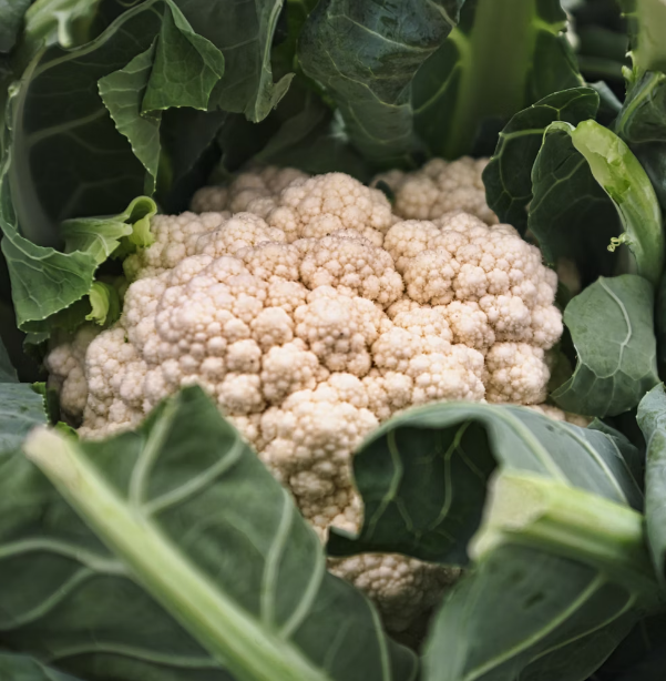 자궁에 좋은 음식