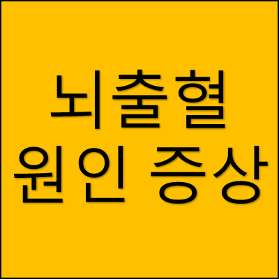 뇌출혈 원인 증상 썸네일