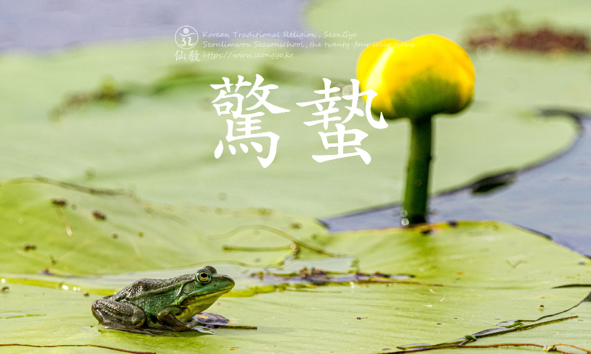 계절의 변화를 세분화한 24 절기 중 &amp;#39;경칩&amp;#39; 이해하기 