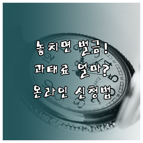 면허 갱신 기한 놓치면 과태료 온라인..