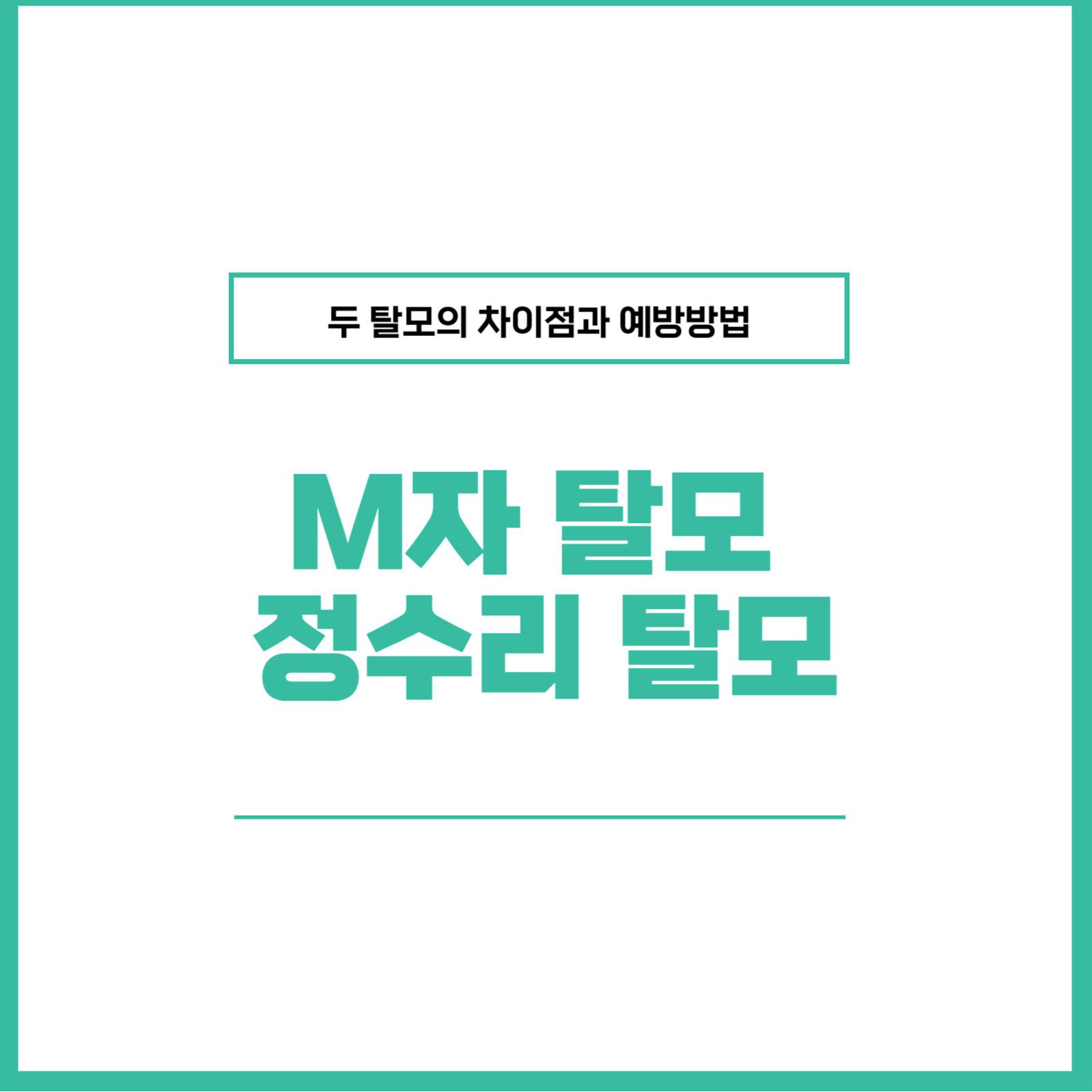 M자 탈모와 정수리 탈모 개선방법 탈모 예방 방법