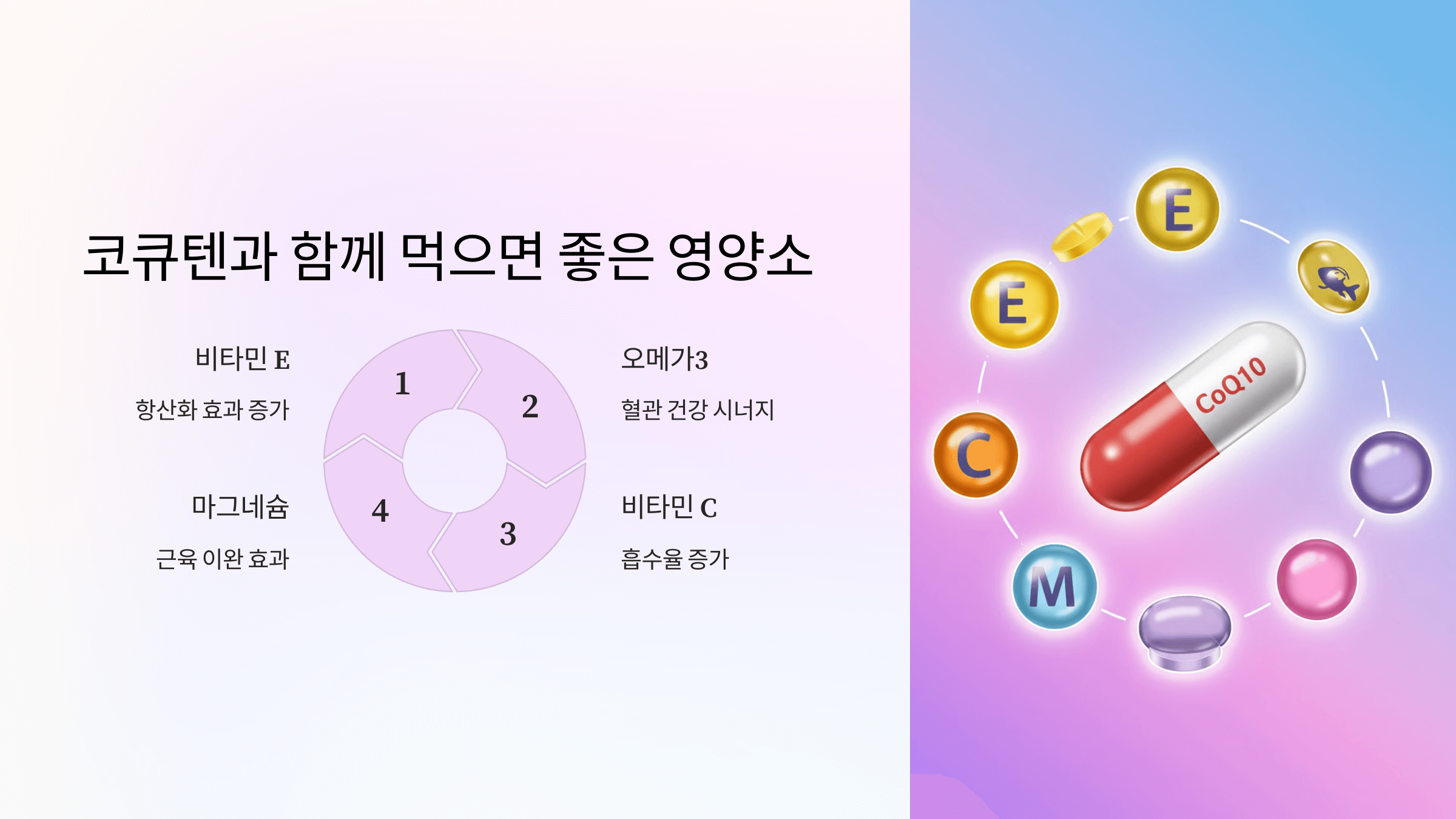 코큐텐과 관련된 사진입니다.