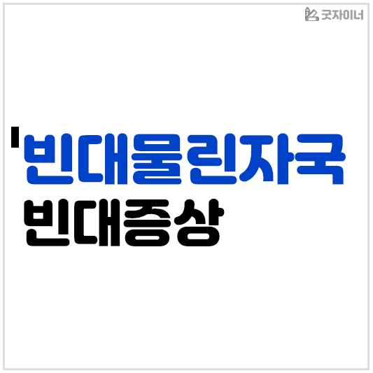 빈대물린자국 빈대증상
