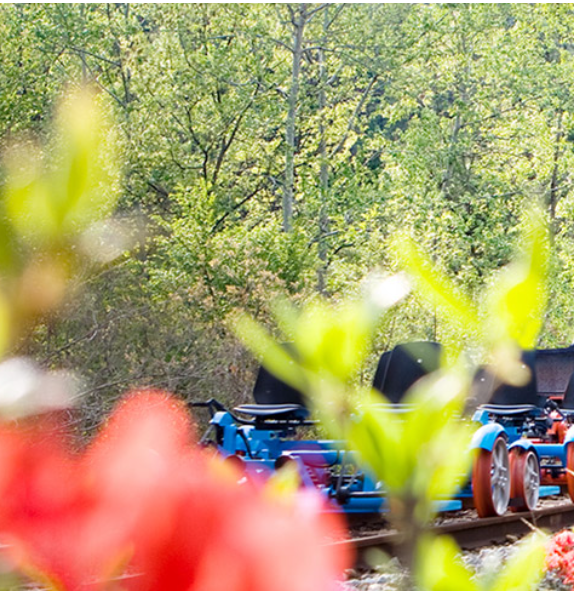 곡성 기차마을 증기기관차