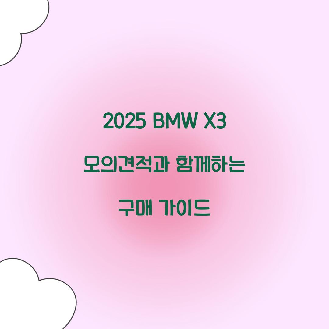 2025 BMW X3 모의견적