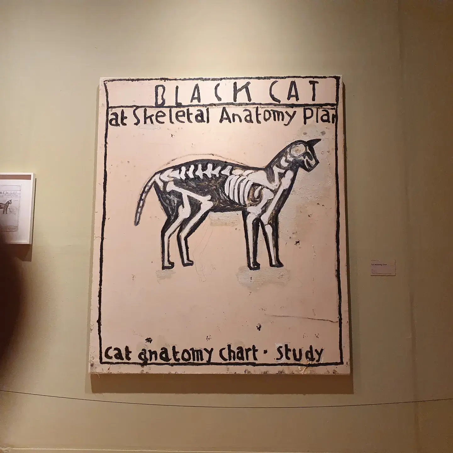 로즈와일리전-검정고양이