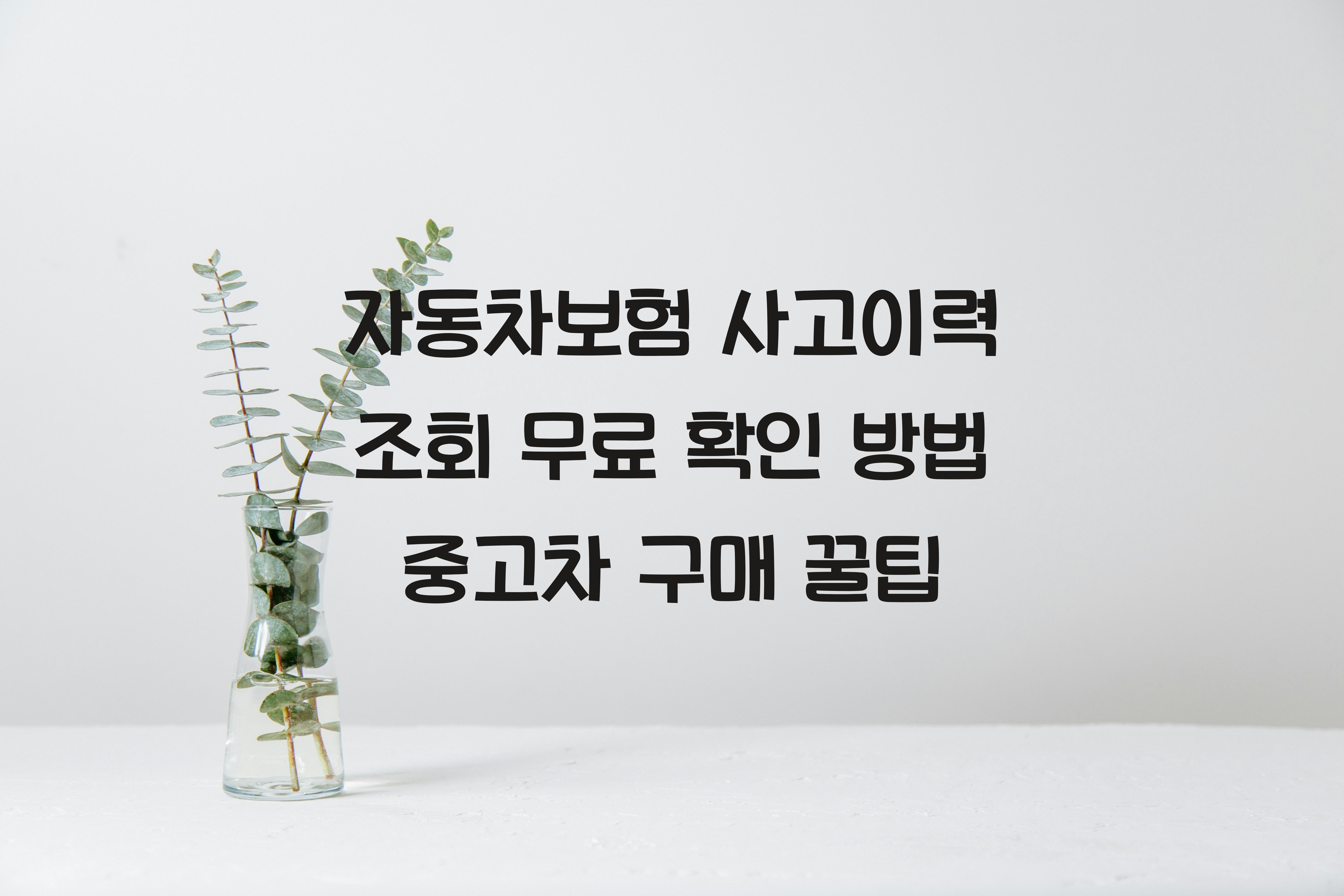 자동차보험 사고이력 조회