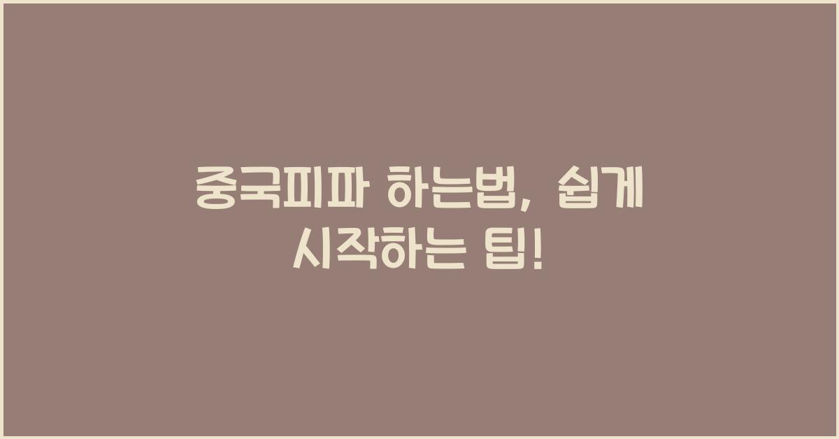 중국피파 하는법
